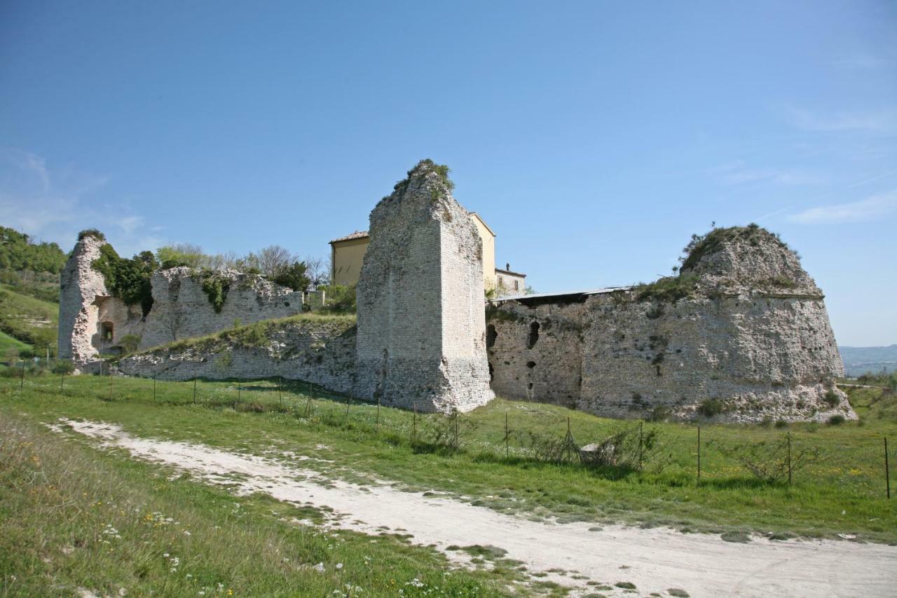 Il Cavallino Fossombrone Exterior foto